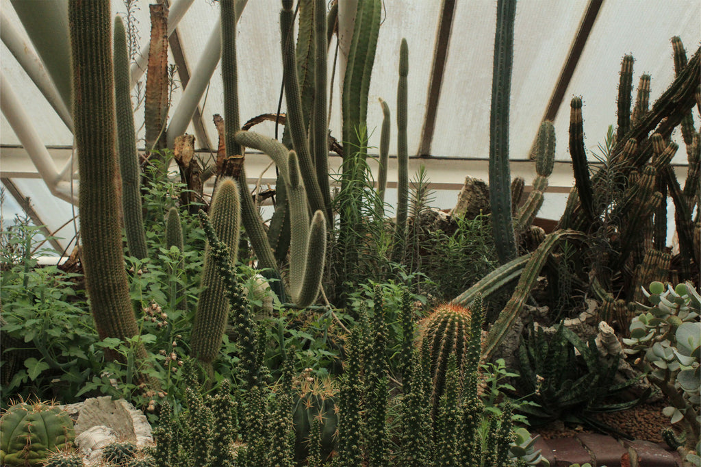 5 gardens to visit this Spring