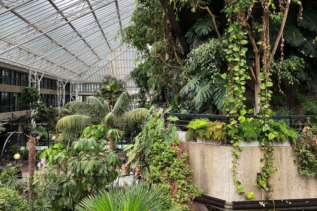 Secret Gardens: The Barbican Conservatory