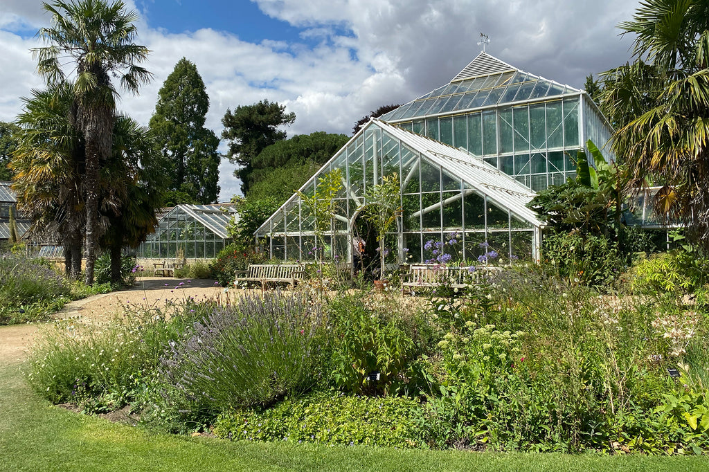 Secret Gardens: Cambridge University Botanic Garden