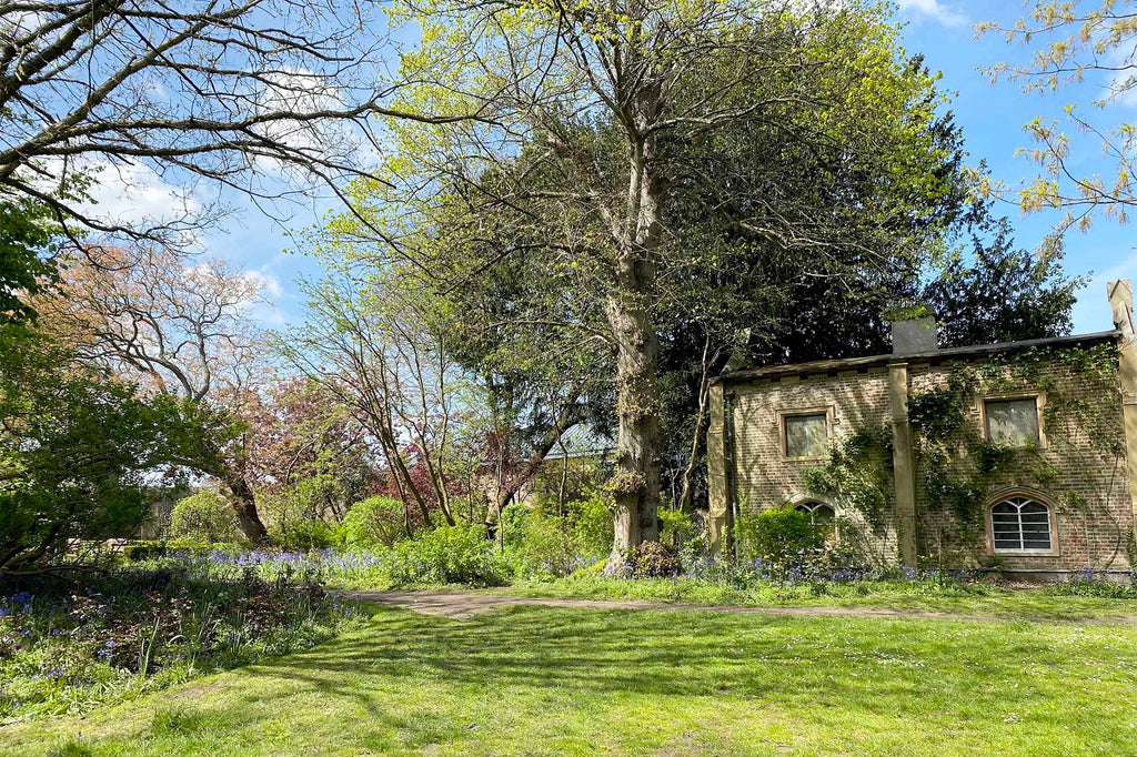 Secret Gardens: Cannizaro Park, Wimbledon