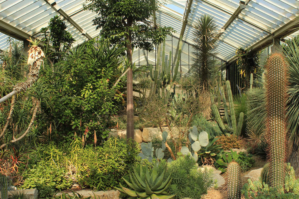 Secret Gardens: Kew Gardens, Richmond