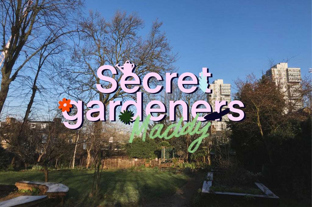 Secret Gardeners: Maddy and Clapham's Community Gardens