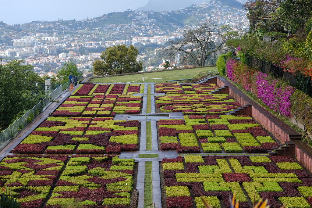 Secret Gardens: Madeira Botanical Garden, Portugal
