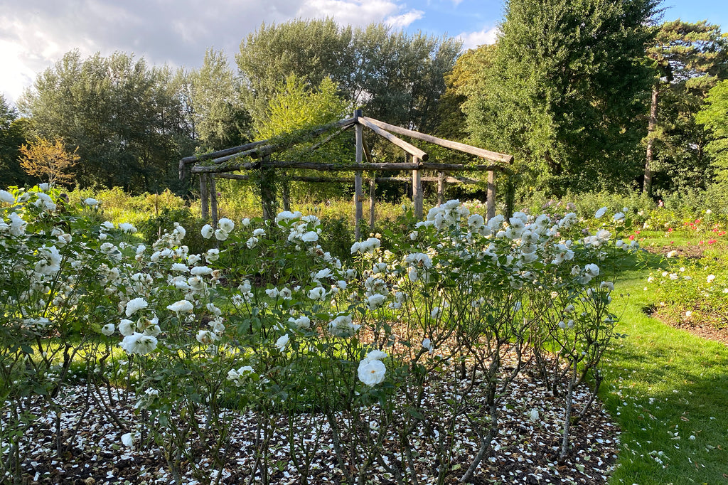 Secret Gardens: Morden Hall Park, South London