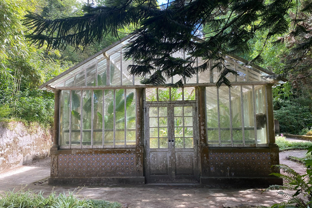 Secret Gardens: The National Palace of Pena, Sintra, Portugal