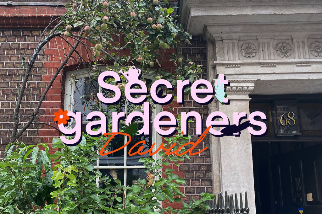 Soho's Secret Gardeners: David at 68 Dean Street