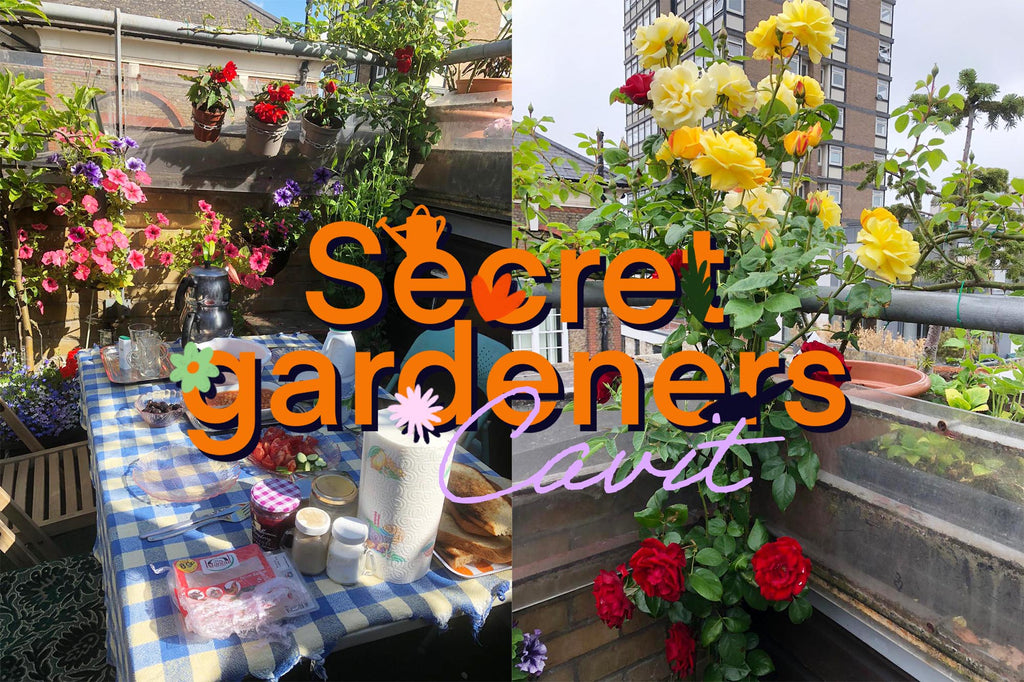 Soho's Secret Gardeners: Cavit of Soho Dairy
