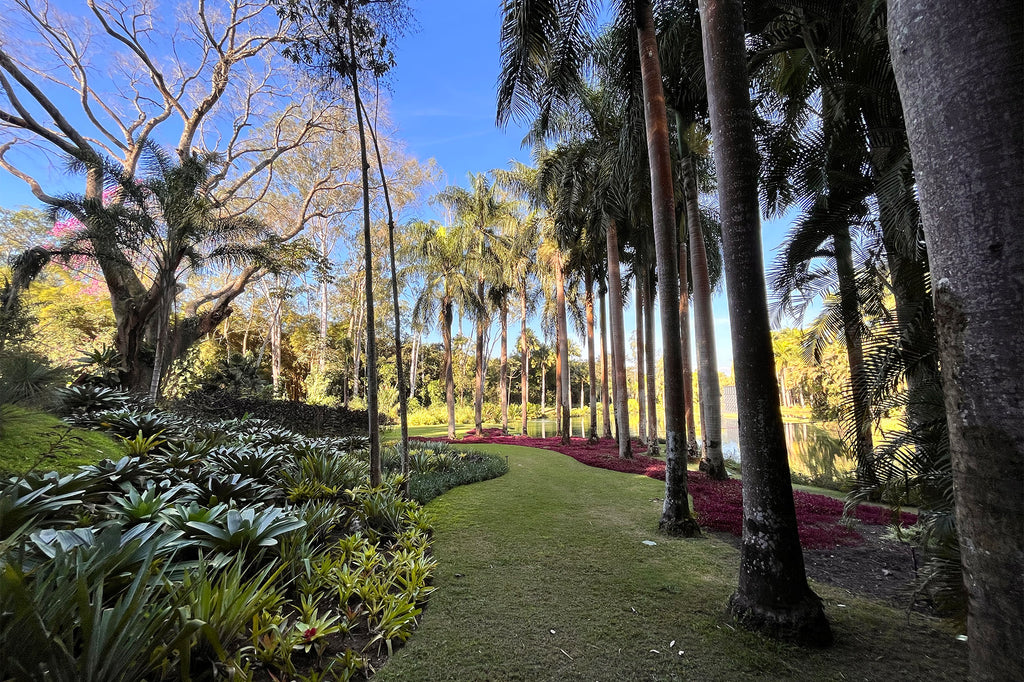 Secret Gardens: Inhotim, Brazil