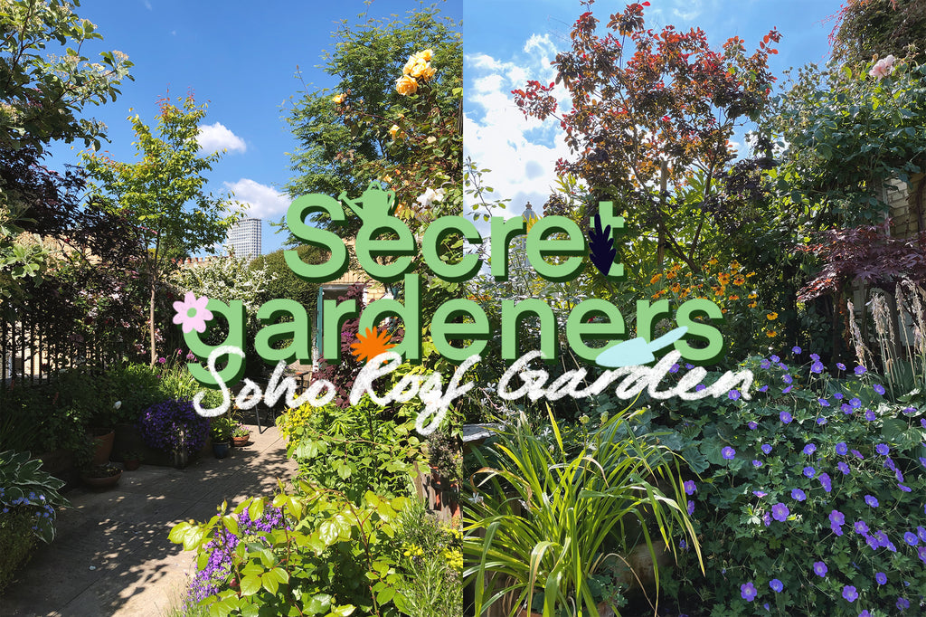 Soho's Secret Gardeners: Elizabeth & Sheila