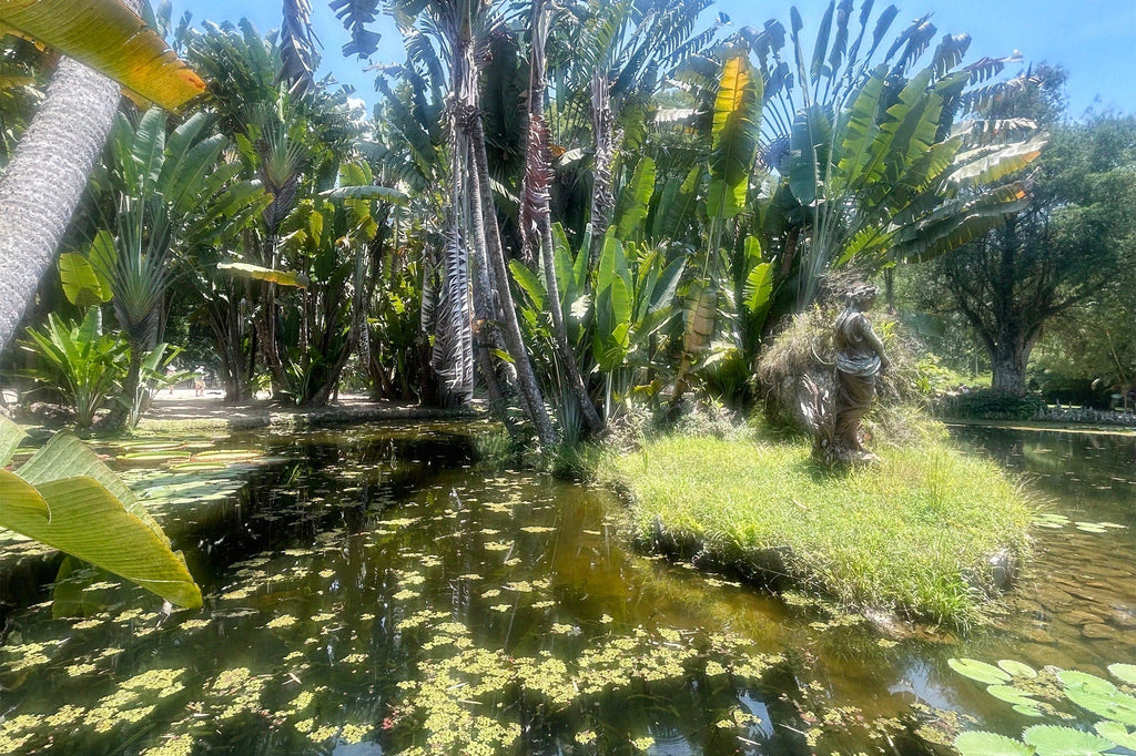 Carnival Chill in Rio de Janeiro’s Botanic Gardens