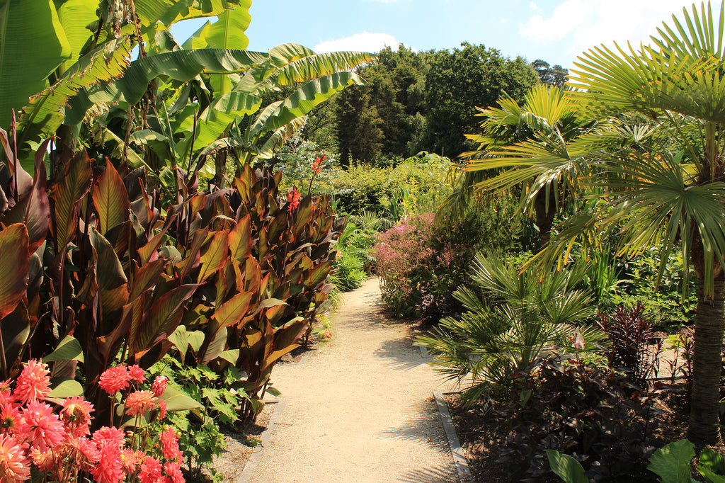 Secret Gardens: RHS Wisley, Surrey