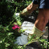 Green Floral English Leather & Linen Gardening Gloves – Small
