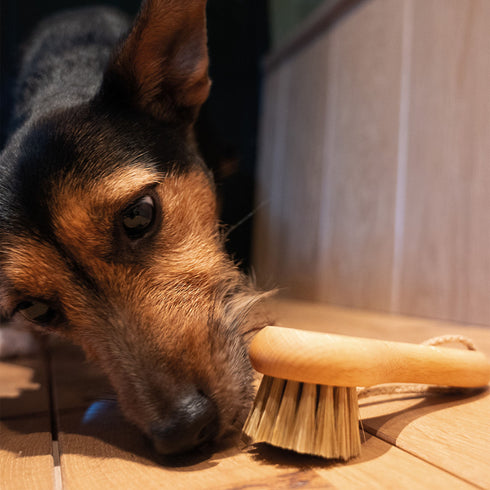 Soft Pet Grooming Brush