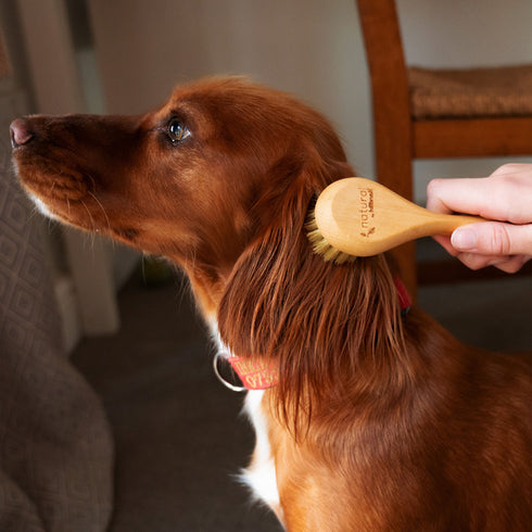 Soft Pet Grooming Brush