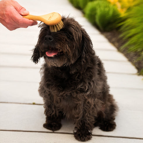 Soft Pet Grooming Brush