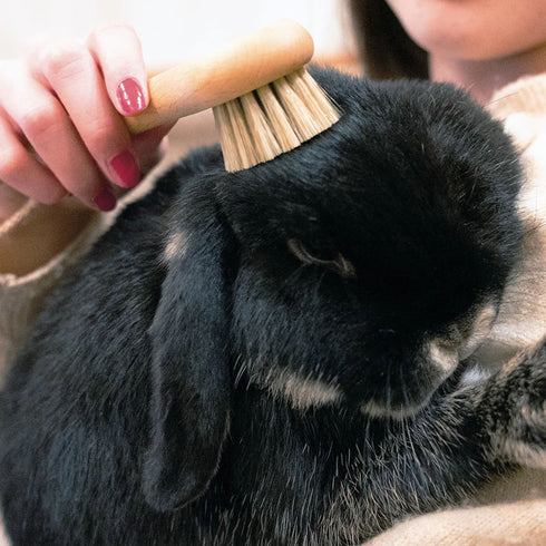 Soft Pet Grooming Brush