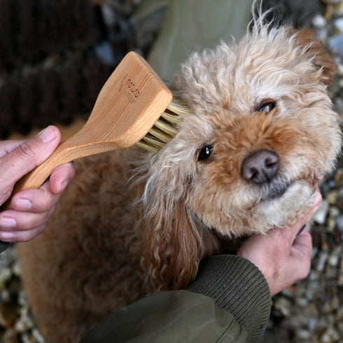 Angled Pet Grooming Brush