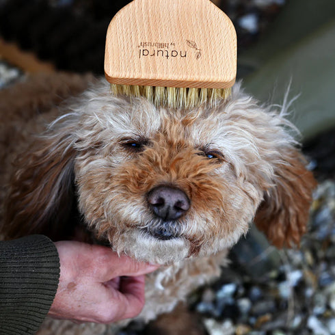 Angled Pet Grooming Brush