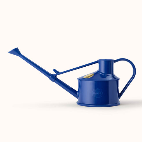 Langley Sprinker One Pint Watering Can (Blue)