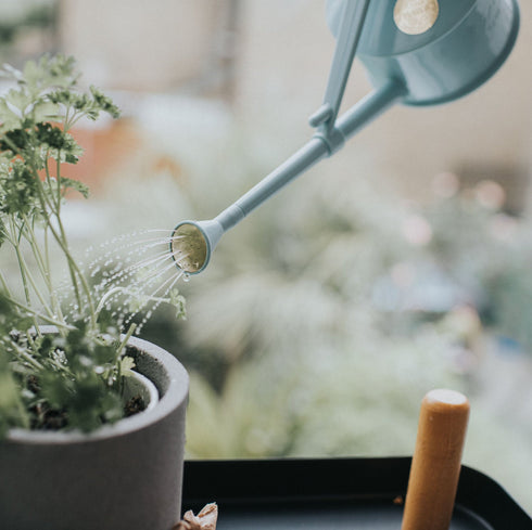 Langley Sprinker One Pint Watering Can (Duck Egg Blue)