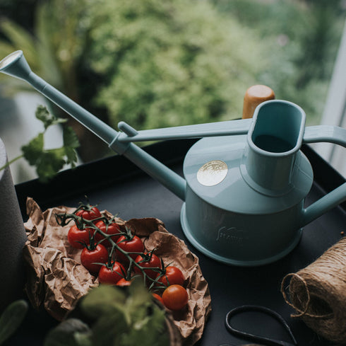 Langley Sprinker One Pint Watering Can (Duck Egg Blue)