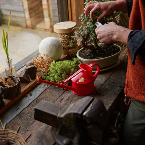 Langley Sprinker One Pint Watering Can (Red)