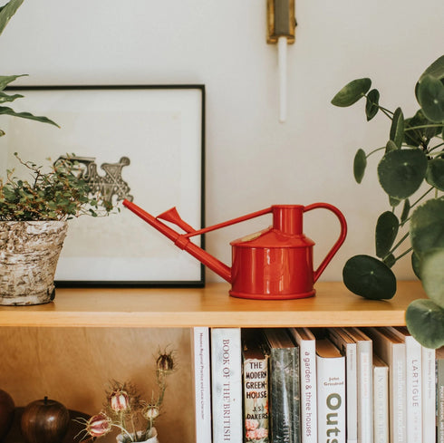 Langley Sprinker One Pint Watering Can (Red)