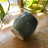 Mini Green Handmade Ceramic Plant Pot 7cm