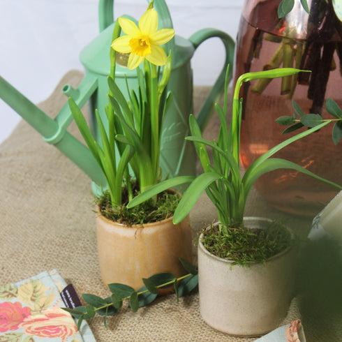 Mini Apricot Handmade Ceramic Plant Pot