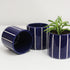 Mini Cobalt Blue Stripe Handmade Ceramic Plant Pot 8cm
