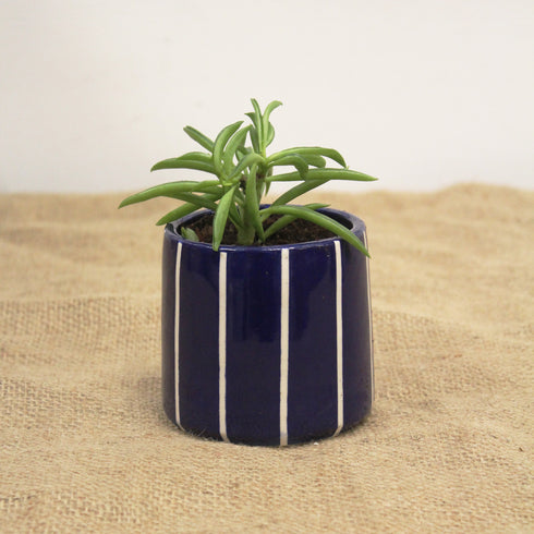 Mini Cobalt Blue Stripe Handmade Ceramic Plant Pot 8cm