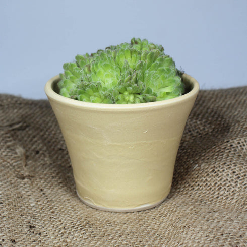 Mini Butter Yellow Handmade Ceramic Plant Pot