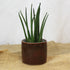 Mini Cinnamon Handmade Ceramic Plant Pot