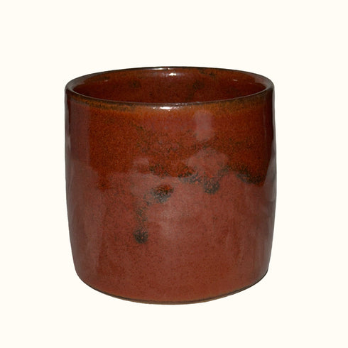 The Dig Then Scrub Gift Box