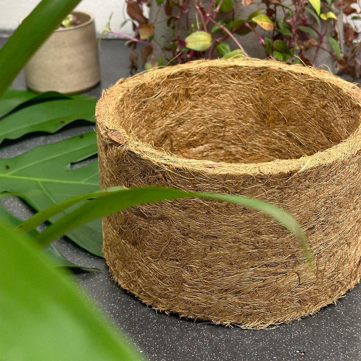coconut fiber plant pots Large Coconut Coir Plant Pot