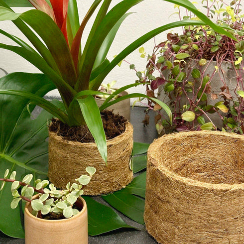 Coconut Coir Plant Pot 13cm