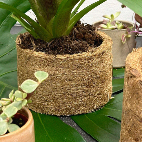 Coconut Coir Plant Pot 18cm