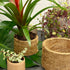 Coconut Coir Plant Pot 18cm