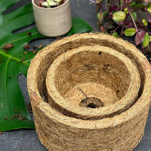 Coconut Coir Plant Pot 13cm