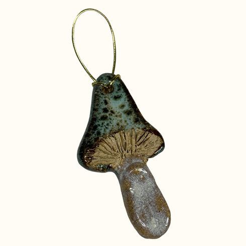 The Little Christmas Tree Gift Box