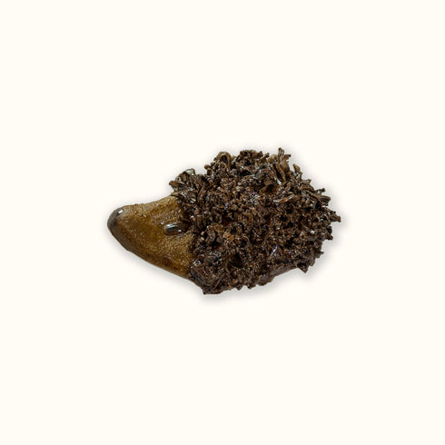 Hedgehog Handmade Ceramic Magnet