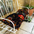 House of Hackney Large Velvet Artemis Bench Cushion Cover