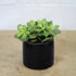 Mini Midnight Blue Handmade Ceramic Plant Pot