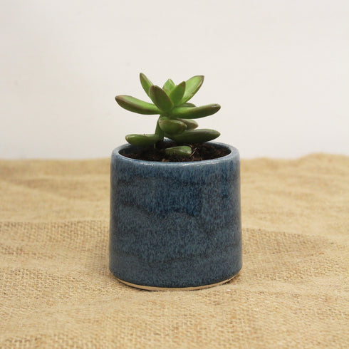 Mini Blue Handmade Ceramic Plant Pot 8cm