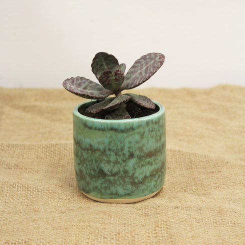 Mini Mineral Green Handmade Ceramic Plant Pot 8cm