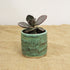 Mini Mineral Green Handmade Ceramic Plant Pot 8cm