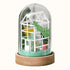 My Papercut Forest DIY Paper Greenhouse Craft Kit