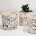 Mini Splatter Handmade Ceramic Plant Pot 8cm