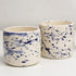 Mini Splatter Handmade Ceramic Plant Pot 8cm