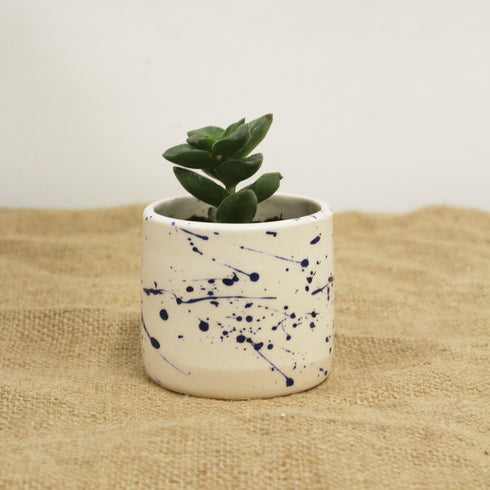 Mini Splatter Handmade Ceramic Plant Pot 8cm